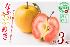 りんご なかののきらめき 3kg やまじゅうファーム 沖縄県への配送不可 2025年11月下旬頃から2025年12月中旬頃まで順次発送予定 令和7年度収穫分 信州の環境にやさしい農産物 減農薬栽培 長野県 飯綱町 [1540]