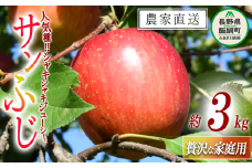 りんご サンふじ 贅沢な 家庭用 3kg ( 7玉 〜 12玉 ) 庚申山荘ファーム 沖縄県への配送不可 2025年11月中旬頃から2025年12月上旬頃まで順次発送予定 令和7年度収穫分 信州 果物 フルーツ リンゴ 林檎 長野 13500円 予約 農家直送 長野県 飯綱町 [1765]
