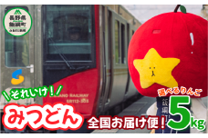 【みつどん全国お届け便】飯綱町PRキャラクター みつどん 旬のりんご 秀 特秀 5kg 全国お届け便 品種おまかせ りんご リンゴ ふじ 信州 果物 フルーツ 林檎 長野 飯綱 全国発送 全国配送 いいづな PR キャラクター 妖精 ゆるキャラ ご当地キャラ ご当地 長野県 飯綱町【あたなのお家にお届けします！】 [1774]
