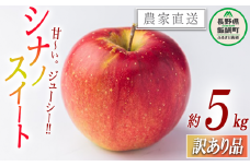 りんご シナノスイート 訳あり 5kg 渡辺農園 沖縄県への配送不可 2025年10月中旬頃から2025年11月上旬頃まで順次発送予定 令和7年度収穫分 エコファーマー認定 減農薬栽培 長野県 飯綱町 [1796]