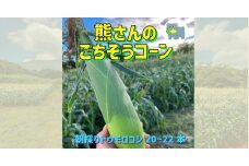 【 冷蔵 クール 】 朝採り トウモロコシ 熊さんのごちそうコーン 20本 ～ 22本 品種 ゴールドラッシュ  TAMAI WINE　配送先は本州限定 2025年8月上旬頃から2025年8月下旬頃まで順次発送予定 令和7年度収穫分 信州 野菜 とうもろこし コーン 長野 22000円 予約 農家直送 長野県 飯綱町 [1787]