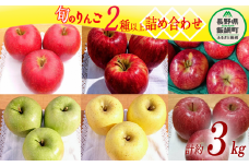 りんご 2品種以上保証 旬のおすすめ 3kg 詰め合わせ セット やまじゅうファーム 沖縄県への配送不可 2025年10月上旬頃から2025年12月下旬頃まで順次発送予定 令和7年度収穫分 信州の環境にやさしい農産物 減農薬栽培 長野県 飯綱町 [1799]
