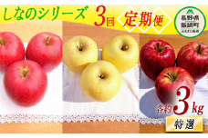 【 定期便 】シナノシリーズ  特選 3kg × 3回 やまじゅうファーム 沖縄県への配送不可 2025年9月下旬頃から2025年11月下旬頃まで順次発送予定 令和7年度収穫分 信州の環境にやさしい農産物 減農薬栽培 長野県 飯綱町 [1800]