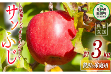 りんご サンふじ ちょっぴり贅沢な 家庭用 3kg 松澤農園 沖縄県への配送不可 2025年11月下旬頃から2026年2月下旬頃まで順次発送予定 令和7年度収穫分 長野県 飯綱町 [1808]