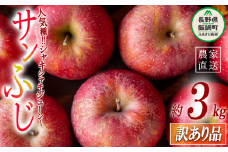 りんご サンふじ 訳あり 3kg 松澤農園 沖縄県への配送不可 2025年11月下旬頃から2026年2月下旬頃まで順次発送予定 令和7年度収穫分 長野県 飯綱町 [1809]