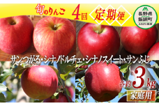 旬のりんご 【 定期便 】 家庭用 3kg × 4回 ファームたんぽぽ 沖縄県への配送不可 2025年9月上旬頃から2025年12月下旬頃まで順次発送予定 令和7年度収穫分 信州 果物 フルーツ リンゴ 林檎 長野 予約 農家直送 長野県 飯綱町 [1822]