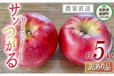 りんご サンつがる 訳あり 5kg 令和7年度収穫分 沖縄県への配送不可 2025年9月上旬頃から2025年9月下旬頃まで順次発送予定 宮本ファーム エコファーマー 減農薬栽培 長野県 飯綱町 [1789]