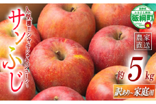 りんご サンふじ 家庭用 〜 訳あり 5kg エバラ農園 減農薬栽培 沖縄県への配送不可 2025年11月中旬頃から2026年1月上旬頃まで順次発送予定 令和7年度収穫分 信州 果物 フルーツ リンゴ 林檎 長野 12500円 予約 農家直送 長野県 飯綱町 [1817]