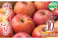 りんご サンふじ 家庭用 〜 訳あり 10kg エバラ農園 減農薬栽培 2025年11月中旬頃から2026年1月上旬頃まで順次発送予定 令和7年度収穫分 信州 果物 フルーツ リンゴ 林檎 長野 20000円 予約 農家直送 長野県 飯綱町 [1818]