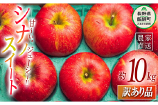 りんご シナノスイート 訳あり 10kg 原山農園 沖縄県への配送不可 2025年10月中旬頃から2025年11月上旬頃まで順次発送予定 令和7年度収穫分 信州 果物 フルーツ リンゴ 林檎 長野 予約 農家直送 長野県 飯綱町 [1824]