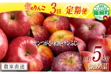 旬のりんご 【 定期便 】 訳あり  4.5kg～5kg × 3回 松橋りんご園 沖縄県への配送不可 2025年9月上旬頃から2025年12月下旬頃まで順次発送予定 令和7年度収穫分 フルーツ リンゴ 信州 長野県 飯綱町 [1840]