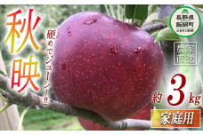 秋映 家庭用 3kg ヤマウラ農園 沖縄県への配送不可 2025年9月下旬頃から2025年10月上旬頃まで順次発送予定 令和7年度収穫分 信州 果物 フルーツ リンゴ 林檎 長野 13500円 予約 農家直送 長野県 飯綱町 [1810]
