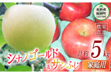 ふじ＆ゴールド2種類詰め合わせ 家庭用 5kg ヤマウラ農園 沖縄県への配送不可 2025年11月中旬頃から2025年11月下旬頃まで順次発送予定 令和7年度収穫分 信州 果物 フルーツ リンゴ 林檎 長野 16000円 予約 農家直送 長野県 飯綱町 [1814]