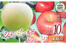 ふじ＆ゴールド2種類詰め合わせ 家庭用 10kg ヤマウラ農園 2025年11月中旬頃から2025年11月下旬頃まで順次発送予定 令和7年度収穫分 信州 果物 フルーツ リンゴ 林檎 長野 24000円 予約 農家直送 長野県 飯綱町 [1815]