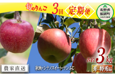 旬のりんご 【 定期便 】 秀～特秀 3kg × 3回 丸山りんご園 沖縄県への配送不可 2025年10月上旬頃から2025年12月下旬頃まで順次発送予定 令和7年度収穫分 信州 果物 フルーツ リンゴ 林檎 長野 36000円 予約 農家直送 長野県 飯綱町 [1833]