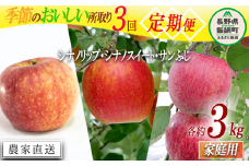 季節のおいしい所取りりんご 【 定期便 】 家庭用 3kg × 3回 大友農場 エコファーマー認定 沖縄県への配送不可 2025年8月中旬頃から2025年12月下旬頃まで順次発送予定 令和7年度収穫分 信州 果物 フルーツ リンゴ 林檎 長野 予約 農家直送 長野県 飯綱町 [1839]