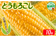 【 厳選品種 】 とうもろこし 10本 （ 品種おまかせ ） 配送先は本州限定 ふるさと振興公社 2025年8月下旬頃から2025年9月上旬頃まで順次発送予定 信州 トウモロコシ コーン ゴールドラッシュ ミルフィーユ グラビス ピーターコーン ハニーバンタム 長野県 飯綱町 [1841] 