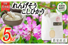 米 れんげそう こしひかり 5kg ( 令和6年産 ) 特別栽培米 なかまた農園  2024年10月上旬頃から順次発送予定 コシヒカリ 白米 精米 お米 信州 24500円 予約 農家直送 長野県 飯綱町 [1834]