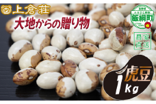 信州産 豆 虎豆 1000g 1kg 上倉荘 沖縄県への配送不可 2025年10月中旬頃から2026年2月上旬頃まで順次発送予定 信州 お豆 まめ マメ 野菜 9500円 長野県 飯綱町 [1859]