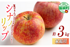 りんご シナノリップ 家庭用 3kg 相澤農園 沖縄県への配送不可 2025年8月中旬頃から2025年9月上旬頃まで順次発送予定 令和7年度収穫分 長野県 飯綱町 [1845]