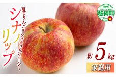 りんご シナノリップ 家庭用 5kg 相澤農園 沖縄県への配送不可 2025年8月中旬頃から2025年9月上旬頃まで順次発送予定 令和7年度収穫分 長野県 飯綱町 [1846]