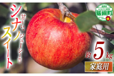 りんご シナノスイート 家庭用 5kg 相澤農園 沖縄県への配送不可 2025年10月中旬頃から2025年11月上旬頃まで順次発送予定 令和7年度収穫分 長野県 飯綱町 [1848]