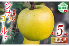 りんご シナノゴールド 家庭用 5kg 相澤農園 2025年11月上旬頃から2026年2月上旬頃まで順次発送予定 沖縄県への配送不可 令和7年度収穫分 長野県 飯綱町 [1853]