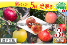 旬のりんご 【 定期便 】 家庭用 3kg × 5回 相澤農園 沖縄県への配送不可 2025年9月上旬頃から2025年12月中旬頃まで順次発送予定 令和7年度収穫分 長野県 飯綱町 [1858]
