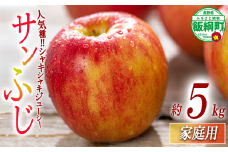 りんご サンふじ 家庭用 5kg 相澤農園 2025年11月中旬頃から2026年2月上旬頃まで順次発送予定 沖縄県への配送不可 令和7年度収穫分 長野県 飯綱町 [1856]