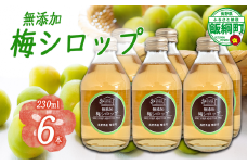 梅シロップ 230mL × 6本 ふるさと振興公社 沖縄県への配送不可 長野県産 梅 シロップ 長野県 飯綱町 [1871]