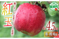 りんご 紅玉 秀～特秀 4.5kg 丸茂ファーム 沖縄県への配送不可 2024年10月上旬頃から2024年11月上旬頃まで順次発送予定 エコファーマー認定 信州の環境にやさしい農産物認証 令和6年度収穫分 フルーツ リンゴ 林檎 農家直送 予約 15500円 長野県 飯綱町 [1843]