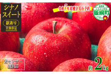 りんご シナノスイート 訳あり2kg （5〜12玉） 光センサー選別品 ながの農業協同組合 沖縄県への配送不可 2025年10月上旬頃から2025年11月上旬頃まで順次発送予定 令和7年度収穫分 傷 不揃い リンゴ 林檎 果物 フルーツ 信州 長野 7000円 予約 長野県 飯綱町 [1867]