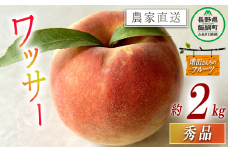 ワッサー 秀品 約 2kg 増田ファーム 配送先は本州限定 2025年8月上旬頃から2025年9月下旬頃まで順次発送予定 令和7年度収穫分 信州 果物 フルーツ ワッサー 桃 長野 予約 農家直送 長野県 飯綱町 [1820]