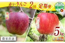 赤いりんご 【 定期便 】 秀 ～ 特秀 5kg × 2回 永正の地蔵尊神谷農園 沖縄県への配送不可 2025年10月上旬頃から2025年12月中旬頃まで順次発送予定 令和7年度収穫分 信州 果物 フルーツ リンゴ 林檎 長野 31000円 予約 農家直送 長野県 飯綱町 [1864]