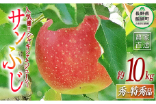 りんご サンふじ 秀 ～ 特秀 10kg 永正の地蔵尊神谷農園 2025年12月上旬頃から2026年2月上旬頃まで順次発送予定 令和7年度収穫分 信州 果物 フルーツ リンゴ 林檎 長野 27000円 予約 農家直送 長野県 飯綱町 [0312]