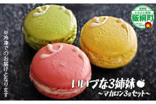 いいづな3姉妹 マカロン 3個入 ニューモラス お菓子 ケーキ りんご リンゴ 林檎 スイーツ ギフト 冷凍 クール便 配送先は本州限定 7500円 長野県 飯綱町 [1888]
