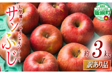 りんご サンふじ 訳あり 3kg noon farm 2025年1月上旬頃から2025年1月中旬頃まで順次発送予定 沖縄県への配送不可 令和6年度収穫分 長野県 飯綱町 [1889]