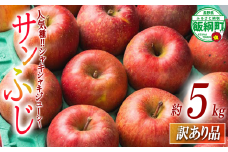 りんご サンふじ 訳あり 5kg noon farm 2025年1月上旬頃から2025年1月中旬頃まで順次発送予定 沖縄県への配送不可 令和6年度収穫分 長野県 飯綱町 [1890]