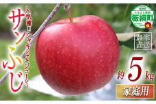 りんご サンふじ 家庭用 5kg 一里山農園 沖縄県への配送不可 2025年12月上旬頃から2025年12月中旬頃まで順次発送予定 令和7年度収穫分 エコファーマー 減農薬栽培 信州 果物 フルーツ リンゴ 林檎 長野 予約 農家直送 長野県 飯綱町 [1898]