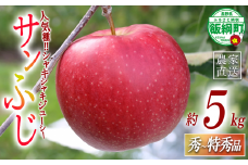 りんご サンふじ 秀 ～ 特秀 5kg 一里山農園 沖縄県への配送不可 2025年12月上旬頃から2025年12月中旬頃まで順次発送予定 令和7年度収穫分 エコファーマー 減農薬栽培 信州 果物 フルーツ リンゴ 林檎 長野 予約 農家直送 長野県 飯綱町 [1897]