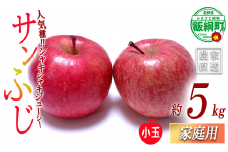 りんご サンふじ (小玉) 家庭用 5kg 一里山農園 沖縄県への配送不可 2025年12月上旬頃から2025年12月中旬頃まで順次発送予定 令和7年度収穫分 エコファーマー 減農薬栽培 信州 果物 フルーツ リンゴ 林檎 長野 予約 農家直送 長野県 飯綱町 [1899]