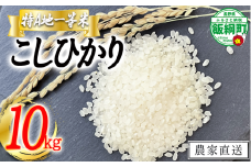 米 東風の里 コシヒカリ 10kg 令和6年産 特A地一等米 東風の会 2024年12月上旬頃から順次発送予定 お米 こしひかり 20500円 信州 長野県 飯綱町 [1912]
