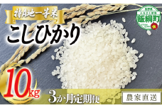 米 東風の里 コシヒカリ 10kg×3回 【3ヶ月定期便】 令和6年産 特A地一等米 東風の会 2024年12月上旬頃から順次発送予定 お米 こしひかり 61500円 信州 長野県 飯綱町 [1913]