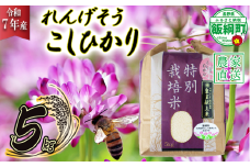米 れんげそう こしひかり 5kg ( 令和7年産 ) 特別栽培米 仲俣農園  2025年10月上旬頃から順次発送予定 コシヒカリ 白米 精米 お米 信州 26500円 予約 農家直送 長野県 飯綱町 [1626]