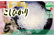米 東風の里 コシヒカリ 5kg×3回 【3ヶ月定期便】 令和7年産 特A地一等米 東風の会 2025年11月上旬頃から順次発送予定 お米 こしひかり 48000円 沖縄県への配送不可 信州 長野県 飯綱町 [1919]