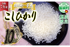 米 東風の里 コシヒカリ 10kg 令和7年産 特A地一等米 東風の会 2025年11月上旬頃から順次発送予定 お米 こしひかり 25000円 信州 長野県 飯綱町 [1920]