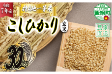 米 東風の里 コシヒカリ ( 玄米 ) 30kg 令和7年産 特A地一等米 東風の会 2025年11月上旬頃から順次発送予定 お米 こしひかり 49000円 信州 長野県 飯綱町 [1922]