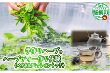 飯綱ハーバルブリーズ 《 自然に学ぶ 》 ハーブ体験 （ ペア ） 6月中旬～10月末 収穫体験 ハーブ摘み ブレンドティー作り ミント カモミール 54000円 長野県 飯綱町 [1925]