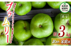 りんご ブラムリー 家庭用 訳あり ジャム向き 3kg 沖縄県への配送不可 2025年8月中旬から2025年8月下旬まで順次発送予定 令和7年度収穫分 静谷りんご園 減農薬栽培 信州の環境にやさしい農産物認証 長野県 飯綱町 [1941]