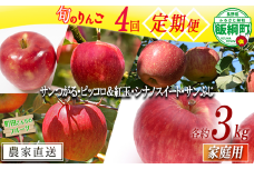 りんご 季節のりんご ＜ 4回 定期便 ＞ 家庭用 3kg × 4回 旬の品種をお届け 沖縄県への配送不可 2025年9月上旬頃から2025年12月中旬頃にかけて順次発送予定 町田さんちのりんご 長野県 飯綱町 [0686]